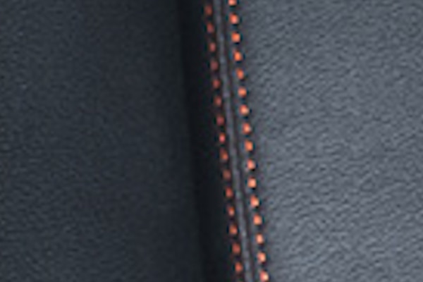 Pantone tactopiel negro